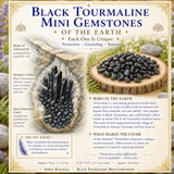 Black Tourmaline Mini Gemstones (50 Gram / 1.7oz. Lot)