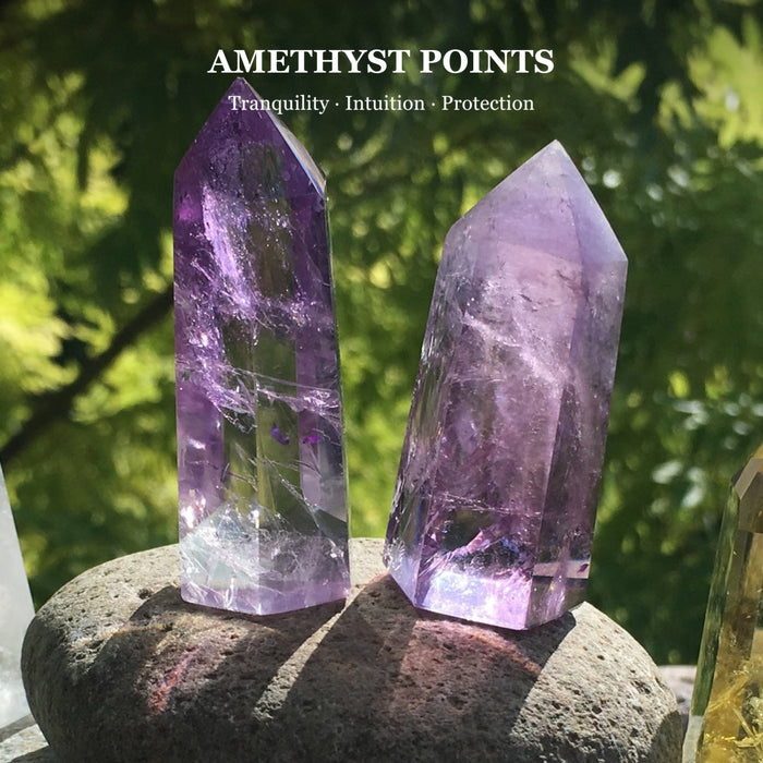 Two purple amethyst points standing on a stone