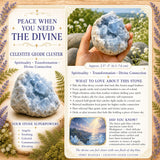 Celestite Geode Cluster 👉 Sconto del 75% solo sulla promozione per 1 giorno