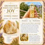 Pointe Citrine