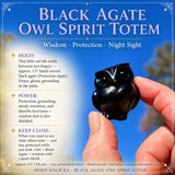 Crystal Animal Spirit Totems: Black Protection Agate Owl