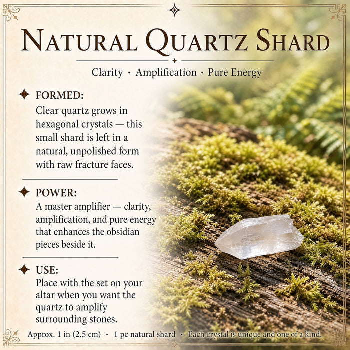 A small raw clear quartz shard on moss