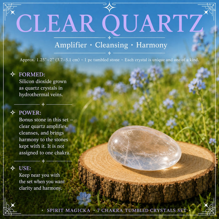 A water-clear quartz tumbled stone on a wood slice in a meadow