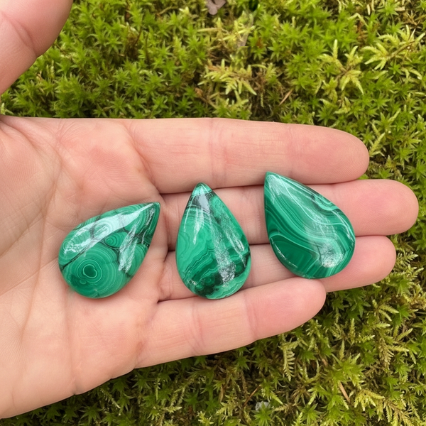 Three malachite teardrop cabochons side by side on an open palm above moss, each with a different banding pattern