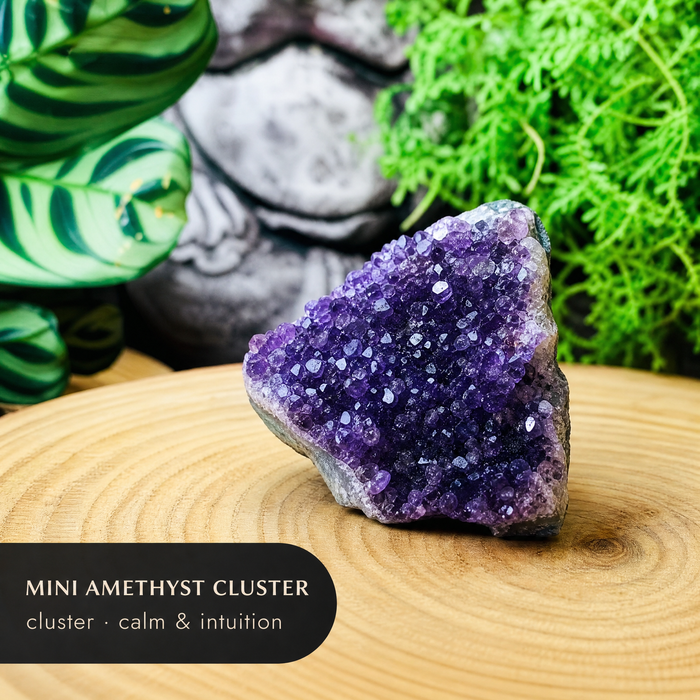 A deep purple amethyst mini cluster on a wooden slice