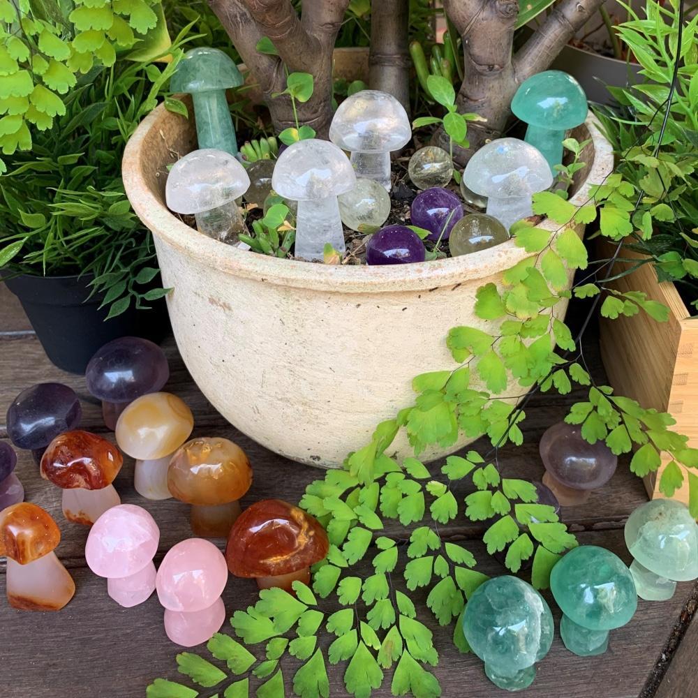 Twenty crystal mushrooms in orange, clear, green, pink and purple set among ferns and a planter