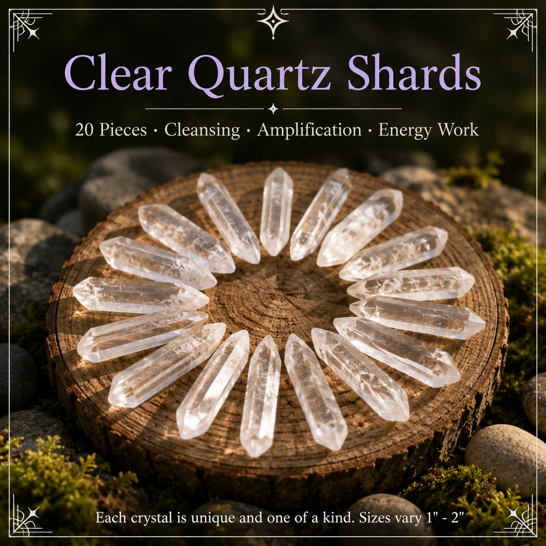 Twenty clear quartz shards arranged in a circle on a wooden slice