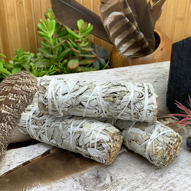 4-Inch White Sage Bundles