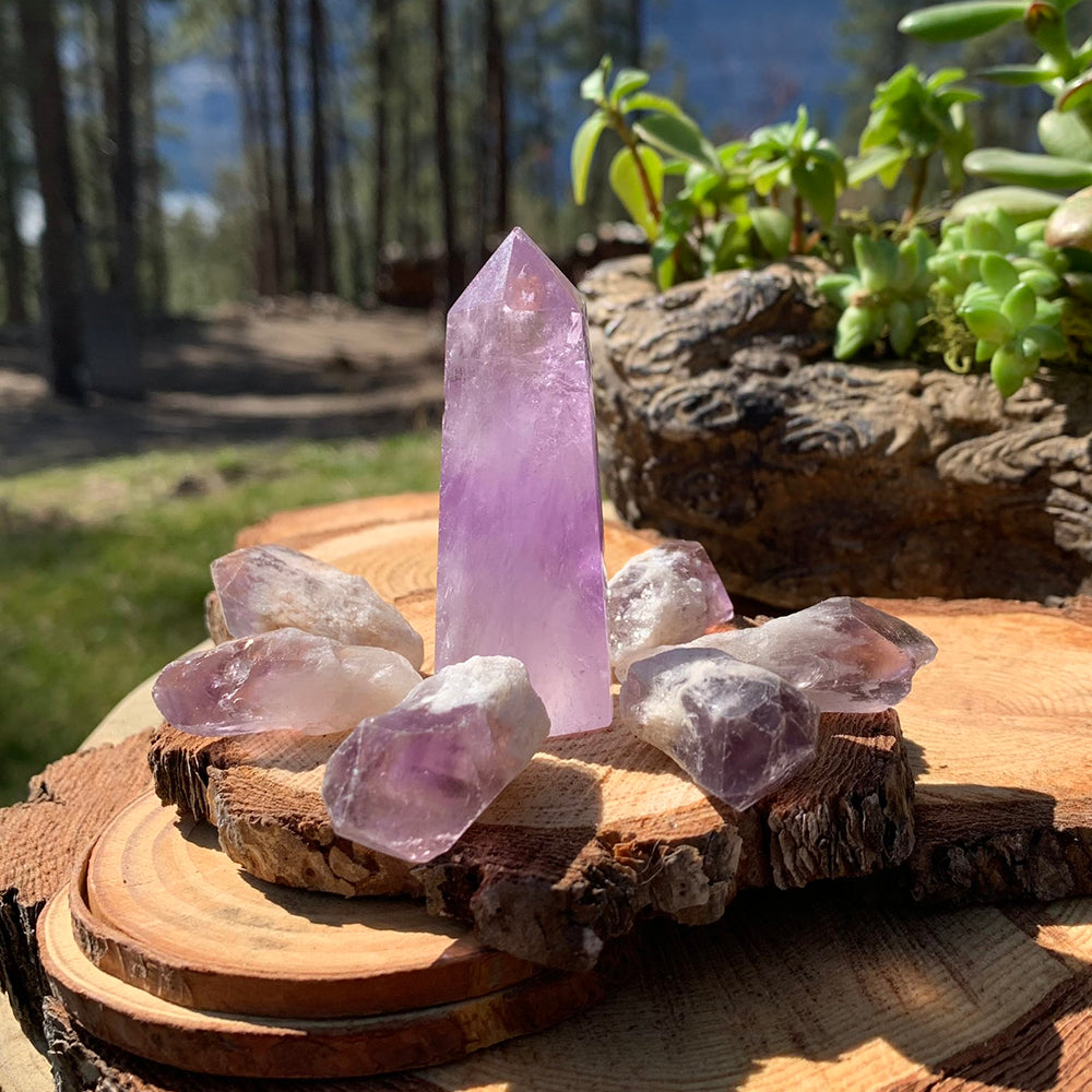 A lavender amethyst point standing among raw amethyst shards on wood rounds outdoors in sunlight