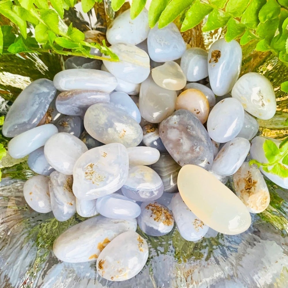 Polished pale blue and white blue lace agate mini gemstones with lacy banding, piled in a glass dish among ferns
