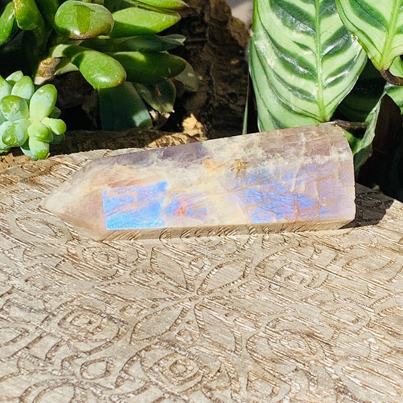 PRIZE WINNER! Blue Moonstone Point