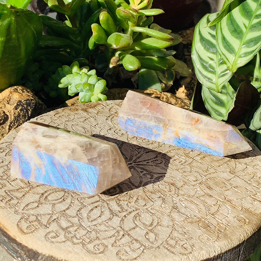 Two blue moonstone points lying on a carved wooden board in sunlight, each flashing bright blue along one face