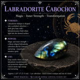 ♋ Câncer - 21 de junho a 22 de julho - Conjunto Zodiac Crystal Fusion com bolsa