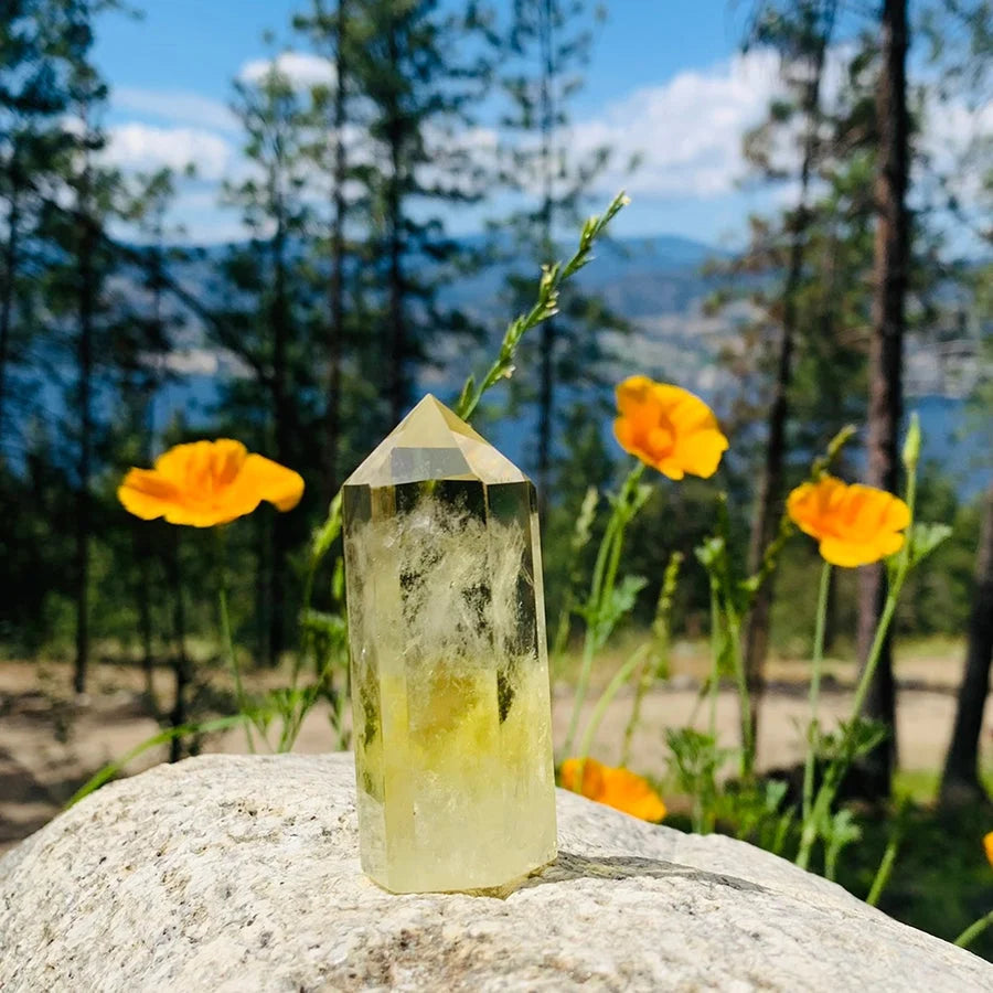 A citrine point standing on a rock among orange poppies, golden at its base and clear toward the tip