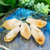 Citrine Shards (Small)