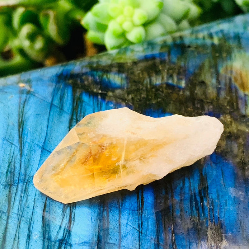 Citrine Shards (Small)