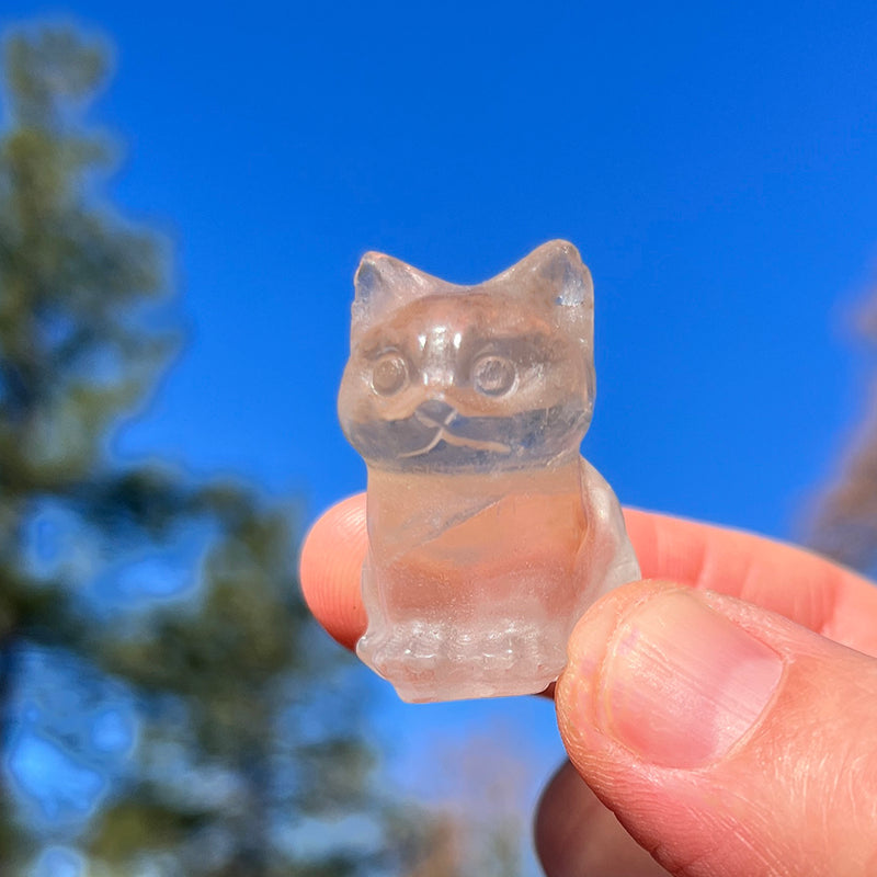 Crystal Animal Spirit Totems: Clear Quartz Cat