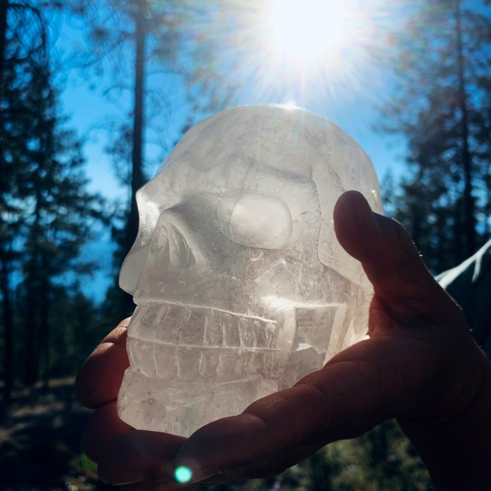 The large clear quartz skull held up in one hand against a sunlit forest sky