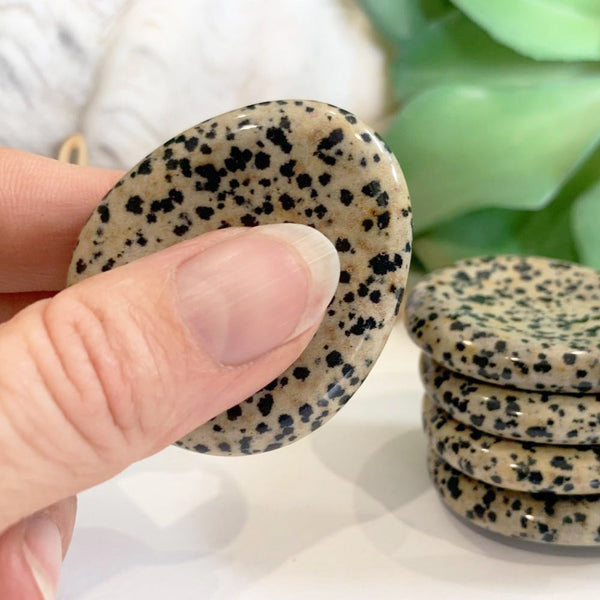 Dalmatian Jasper Worry Stone - worrystone