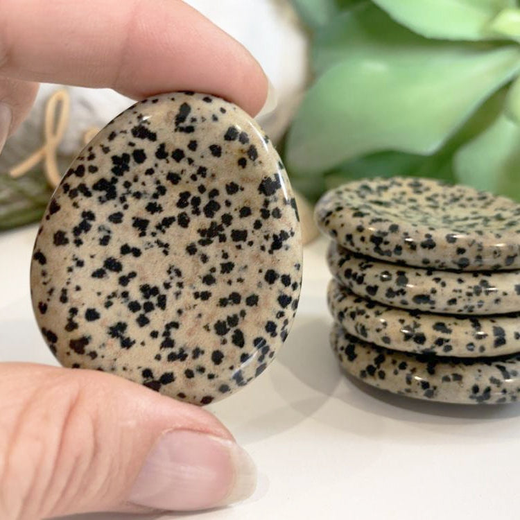 Dalmatian Jasper Worry Stone - worrystone