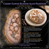 Kirsuberjablóma Agate Pálmasteinn