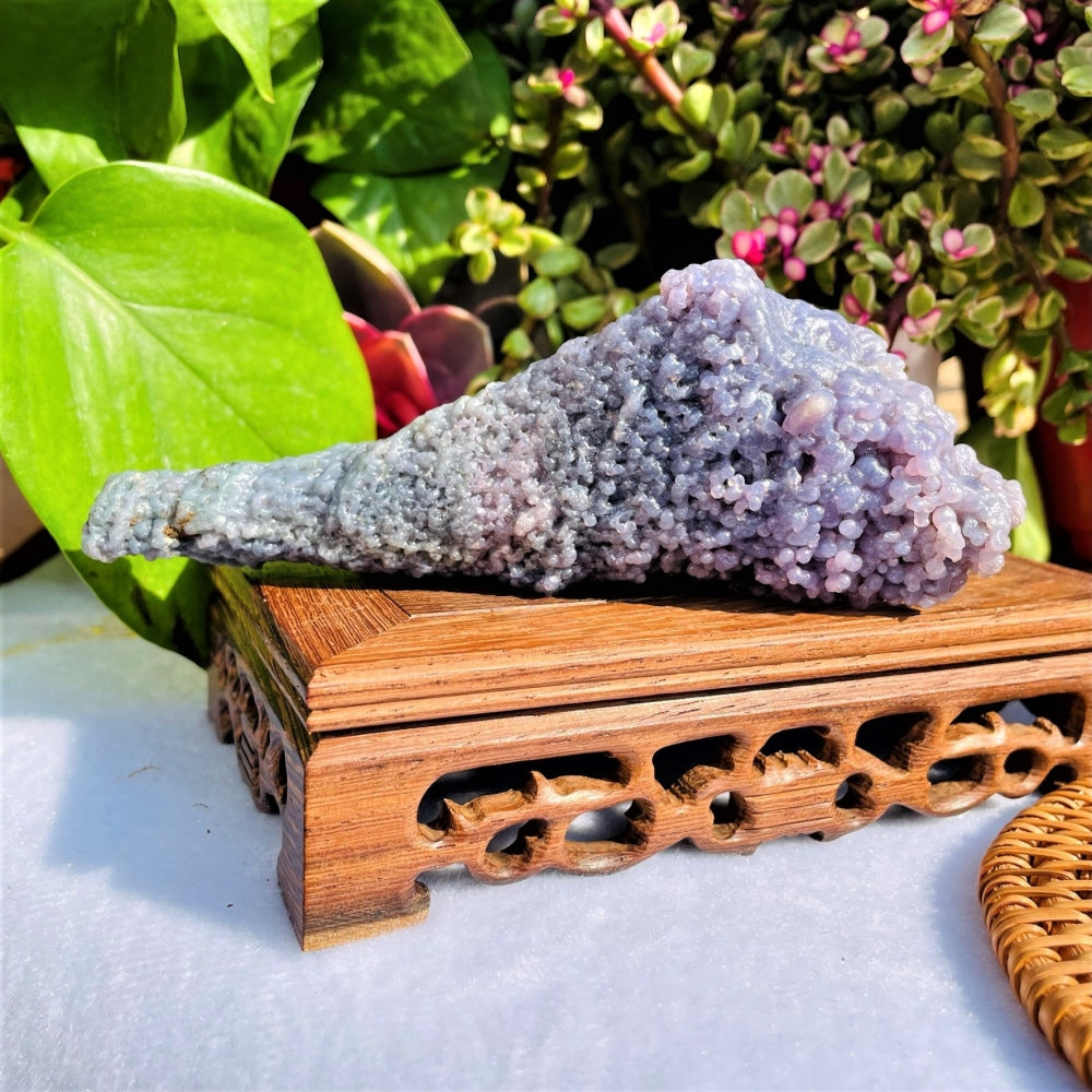 The grape agate specimen lying on a carved wooden display stand among houseplants