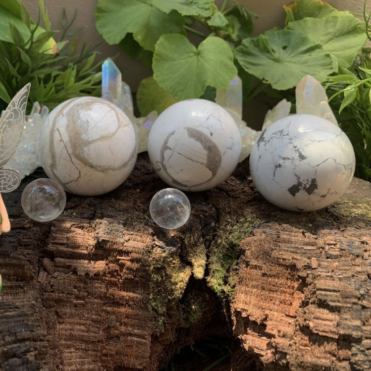 Three polished howlite spheres with grey veining and soft brown bands, resting on a mossy log among plants