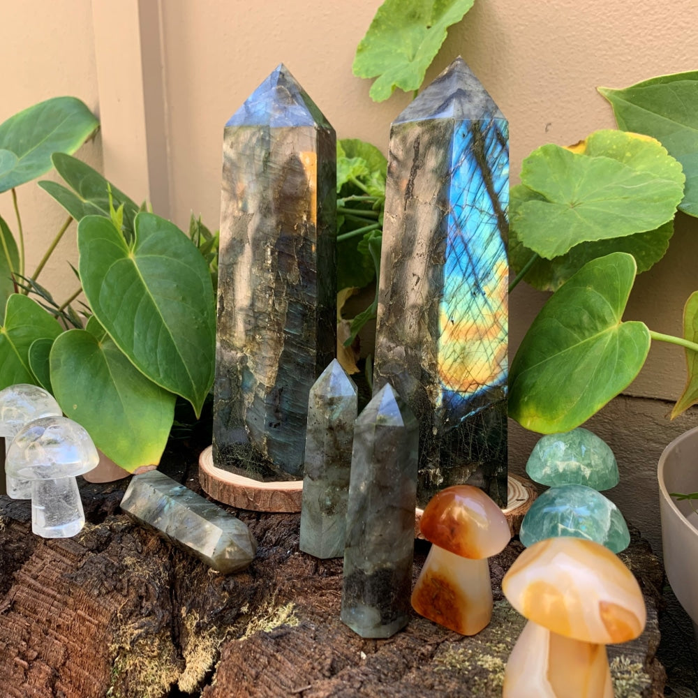 Two large labradorite generators standing among green leaves, styled with smaller points and crystal mushrooms