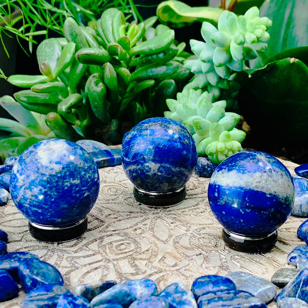 Three small lapis lazuli spheres among succulents, each with a different blue and white pattern