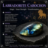 ♌ Lion - 23 juillet - 21 août - Ensemble Zodiac Crystal Fusion avec pochette