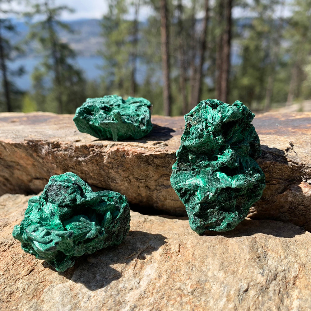 Three rough malachite pieces on a sunlit rock ledge above a forested lake, each a different shape