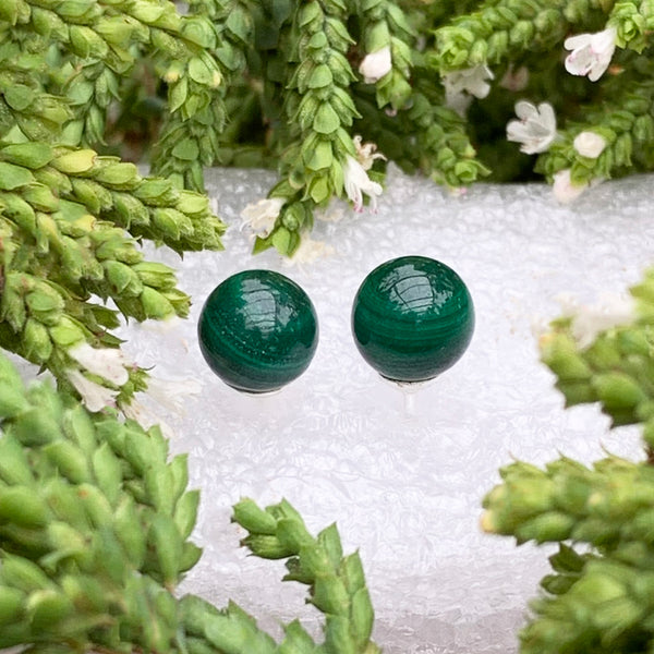 Earrings - Malachite Studs