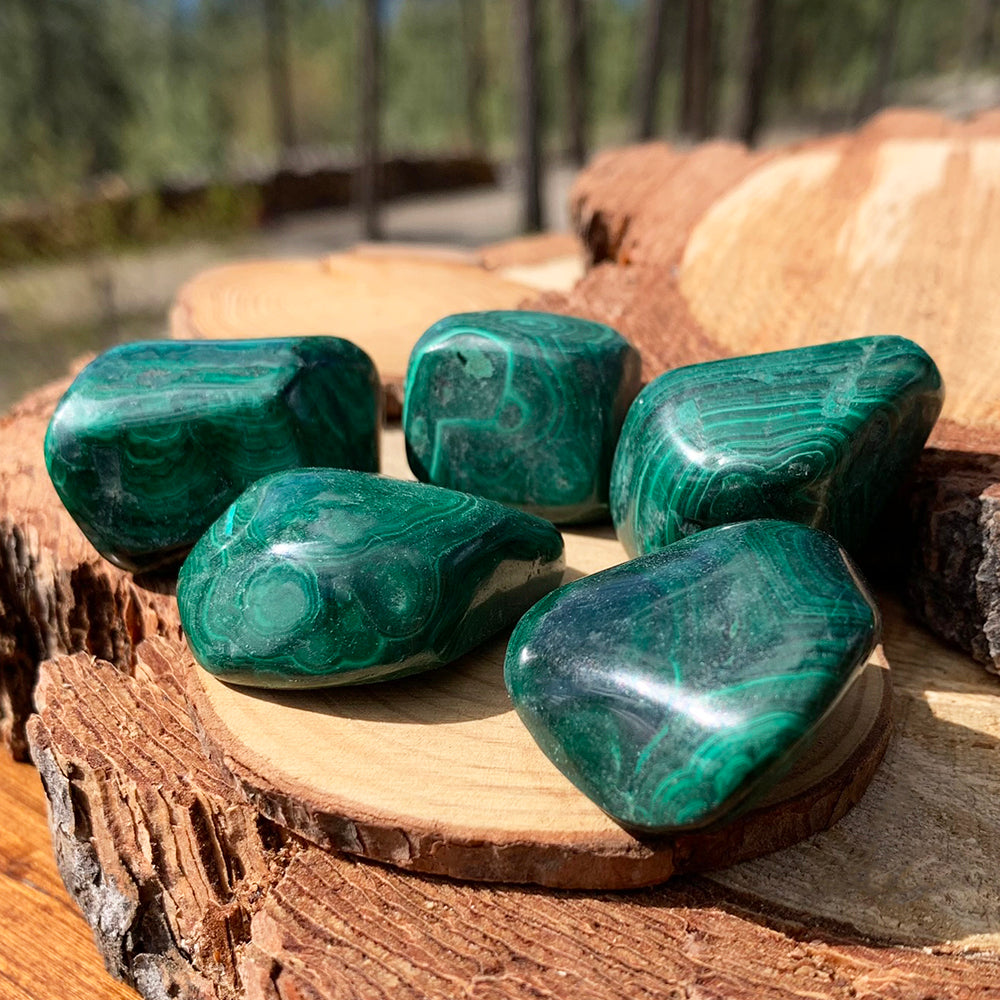 Several malachite tumbled stones on wood slices, each with its own green and black banding