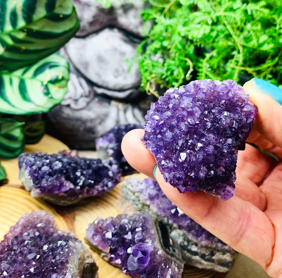 A mini amethyst cluster held between thumb and fingers, with more clusters on wooden stands behind it