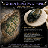 60 % rabat på Ocean Jasper Palmstone Palmstone 1-dag-kun