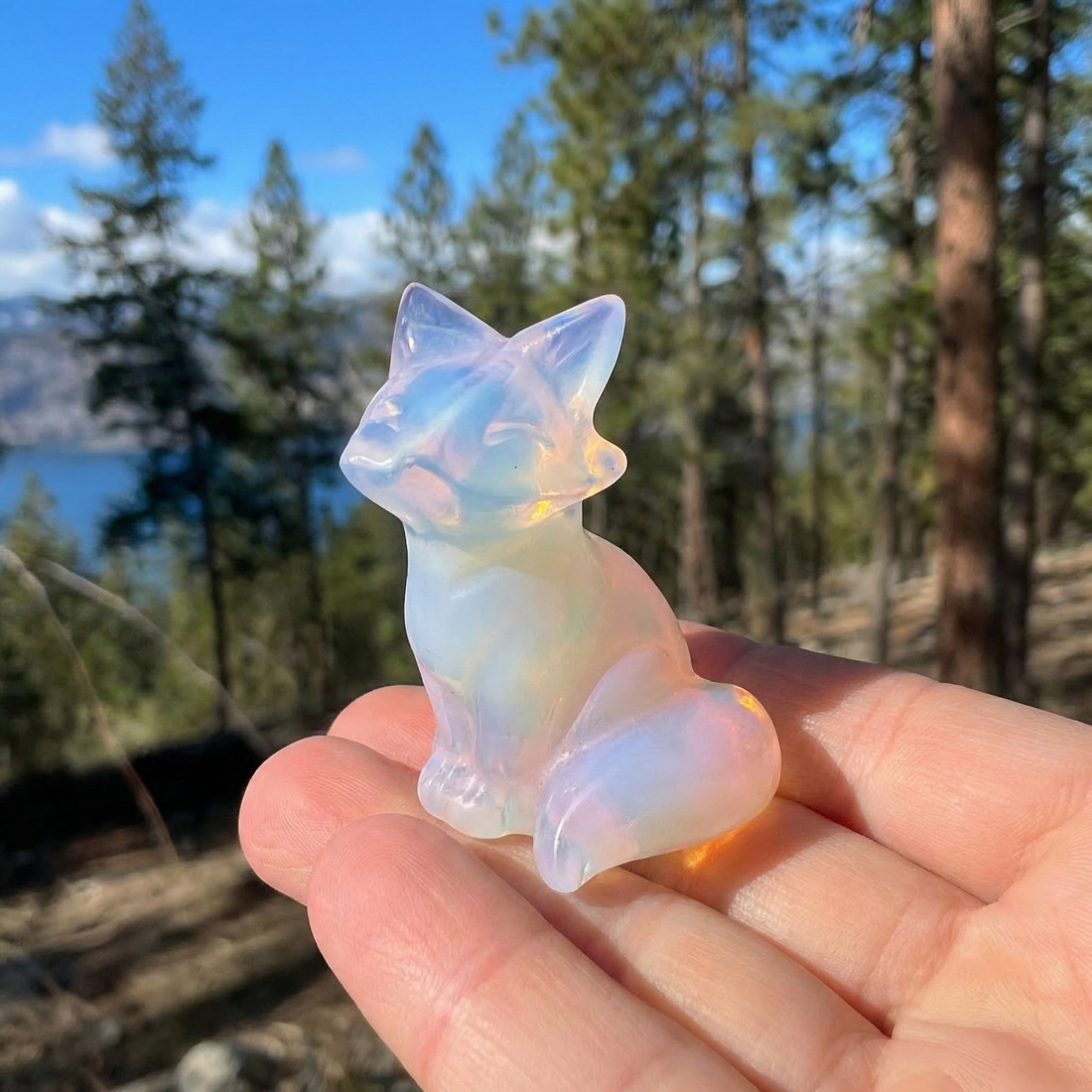 The opalite fox sitting on an open palm in a sunny forest, glowing milky white with soft blue and peach flashes