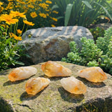 Afghanistan Jade & Radiant Joy Crystals Energy Set