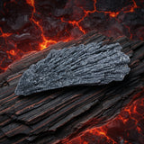 Dark Energy Protection Bundle Set - SAVE 65% Today