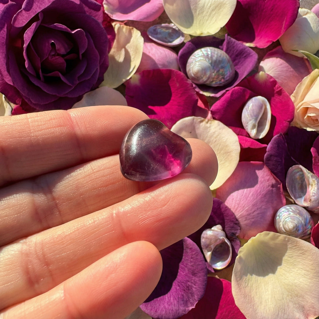 A single purple fluorite heart resting on the fingertips above rose petals and small shells