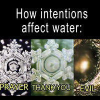 Botella de agua de vaina de gemas de racimo de hadas de amatista 💧