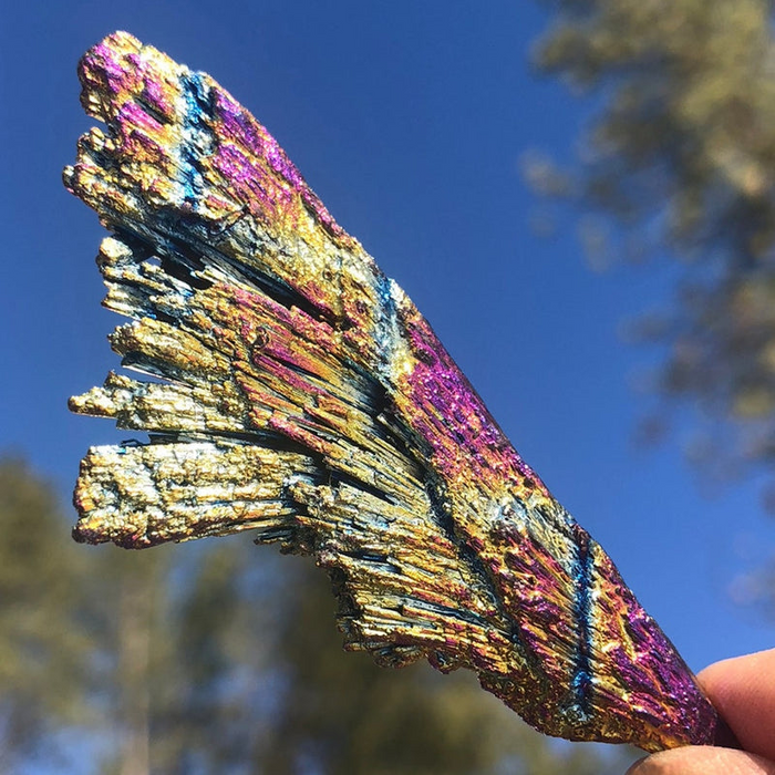 A bladed rainbow kyanite piece shimmering gold, pink and blue against the sky