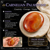 Piedra de palma de cornalina
