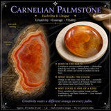 Piedra de palma de cornalina