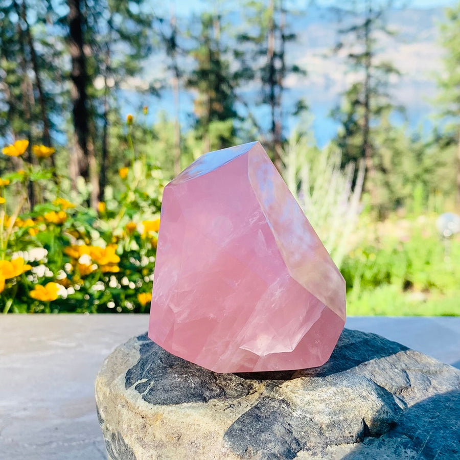 A polished freeform rose quartz chunk resting on a grey stone outdoors, glowing pink in the sunlight