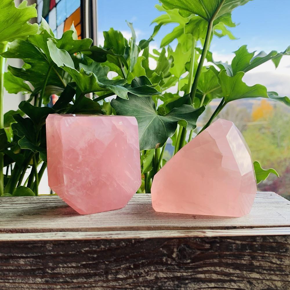 Two polished rose quartz freeforms of different shapes side by side on a wooden ledge in front of green leaves