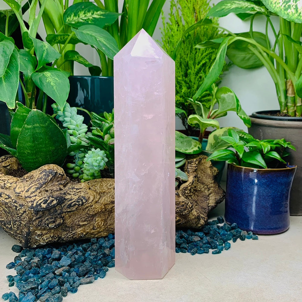 A tall polished rose quartz generator standing among houseplants and blue stones