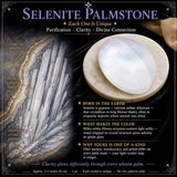 Selenít pálmasteinn