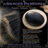 Shungite Pálmasteinn