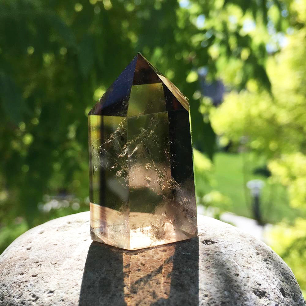 A polished smoky quartz point standing on a river stone in sunlight, its tea-brown body lit gold from within