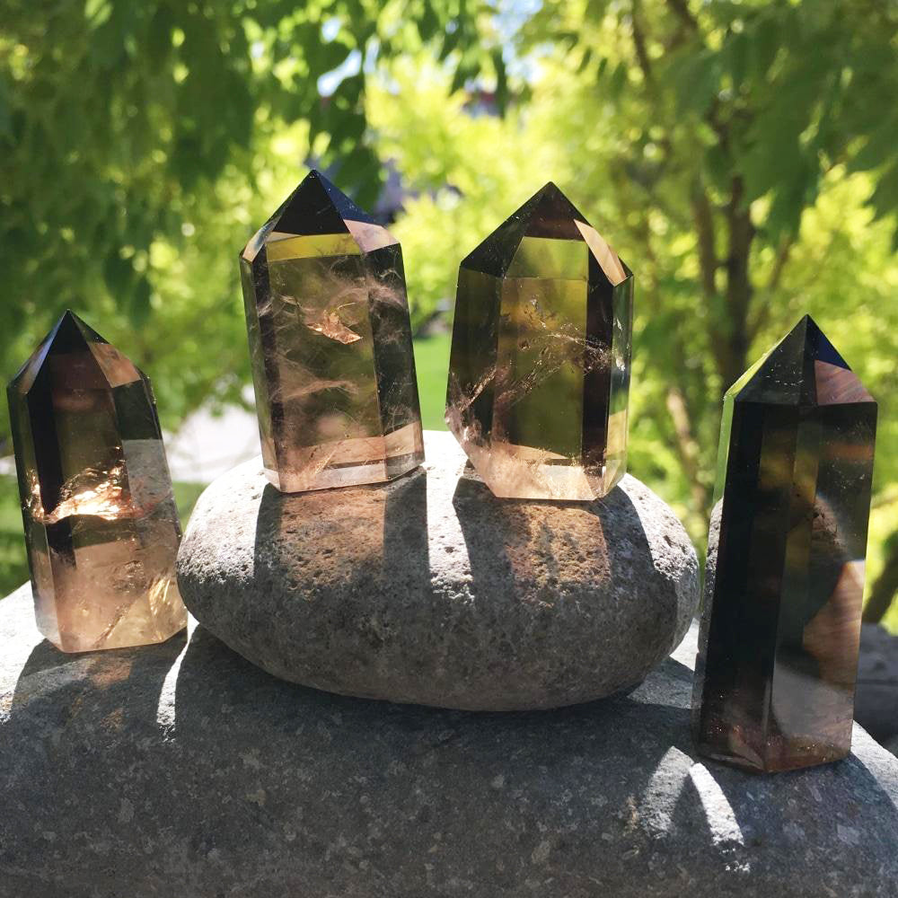 Four smoky quartz points in different heights and shades of brown, lined up on river stones in sunlight